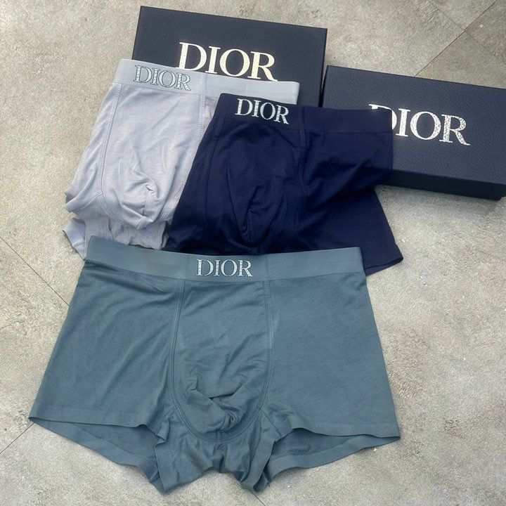 Innerwear6 innerwear